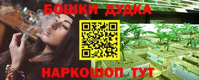 крисы Бузулук