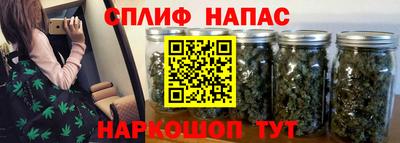 сатива Будённовск